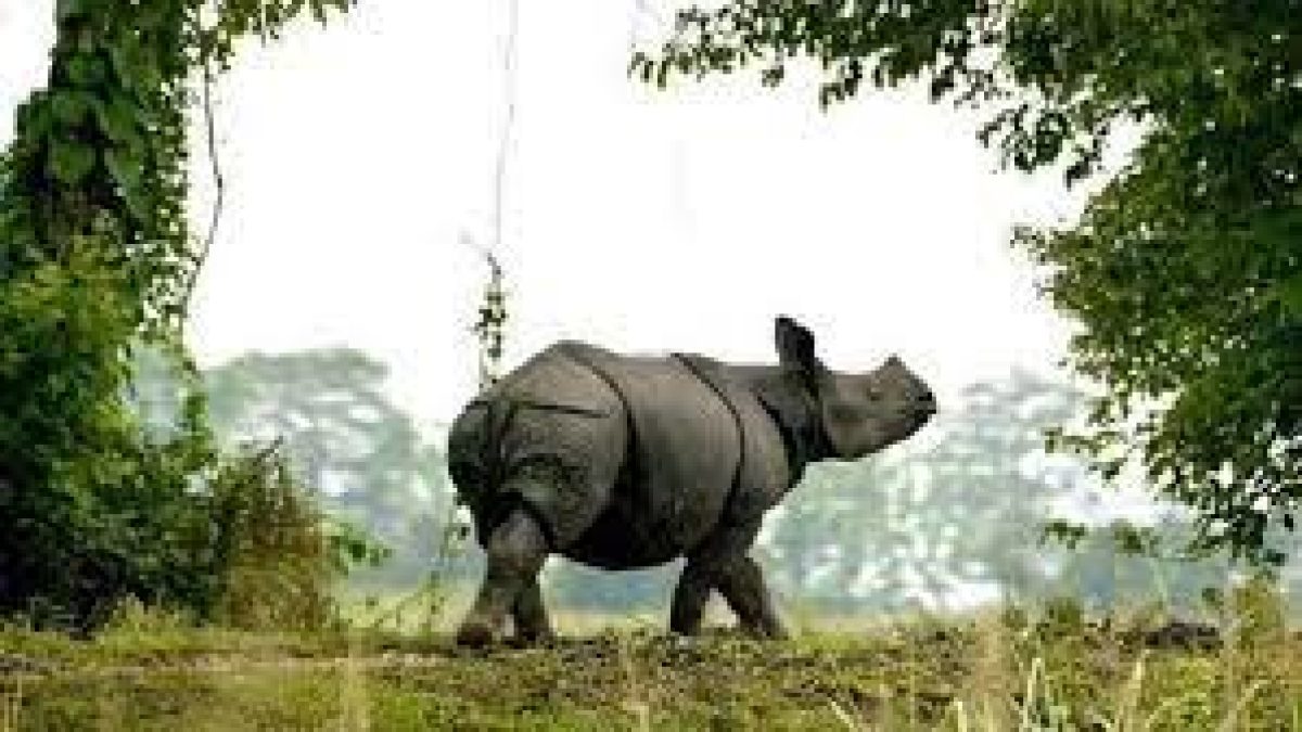 India's first national park to be equipped with satellite phones