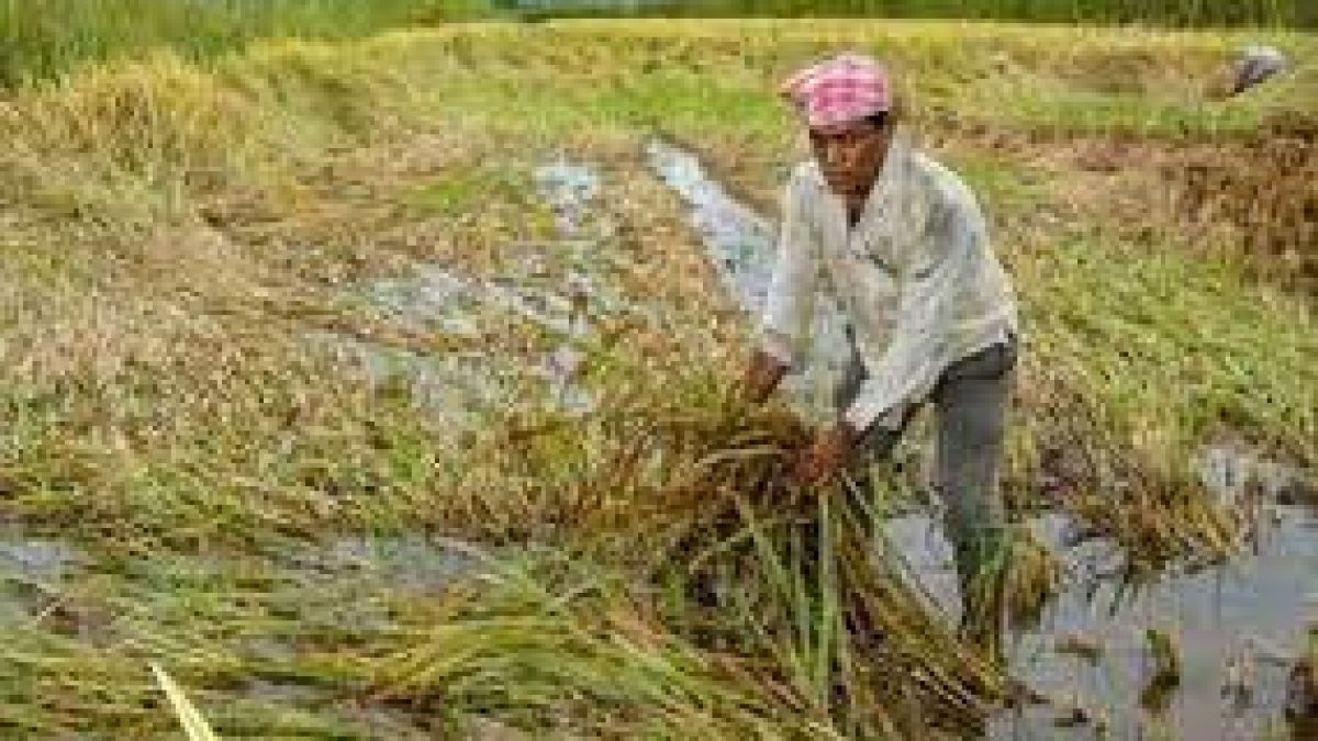 Maharashtra government launched e-crop survey initiative