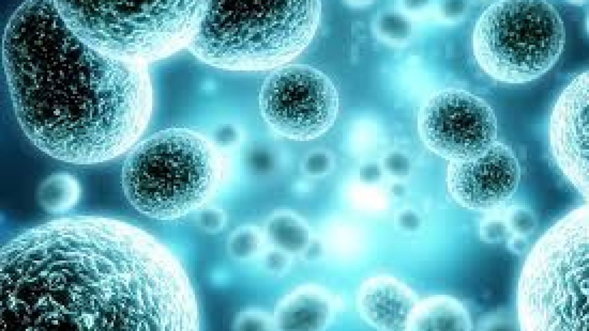 New technique to study ultrasmall particles in cells