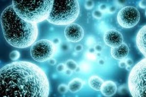 New technique to study ultrasmall particles in cells