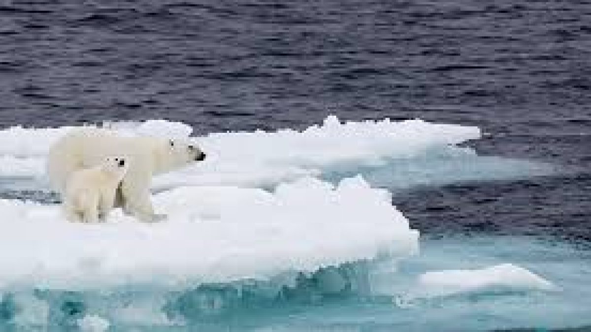 Status check on world climate