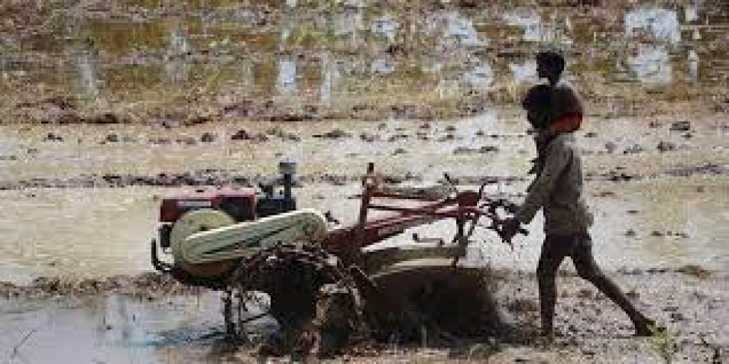 Tamil Nadu presented an exclusive budget for agriculture