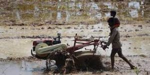 Tamil Nadu presented an exclusive budget for agriculture