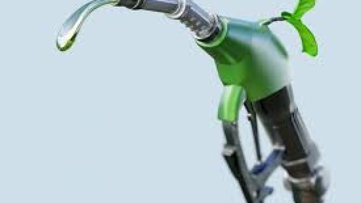 World Biofuel Day 2021