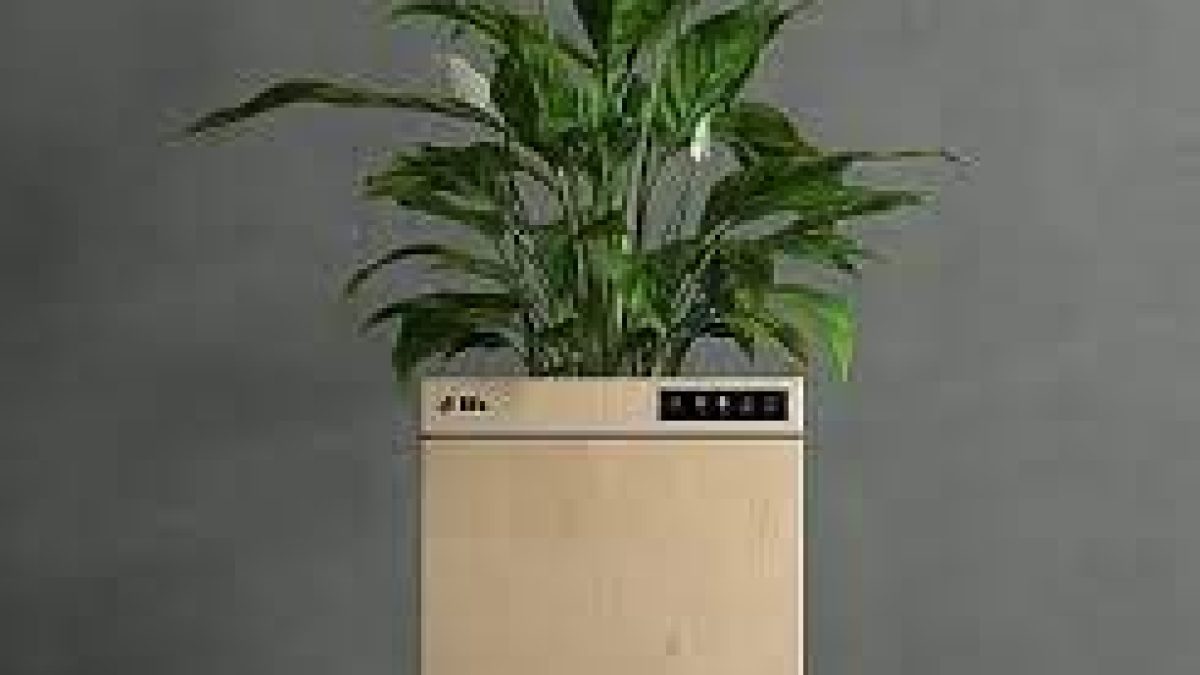 IIT Ropar develop’s world’s first ‘Plant based’ smart air-purifier
