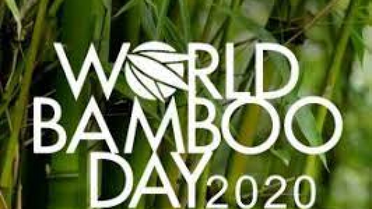 World Bamboo Day