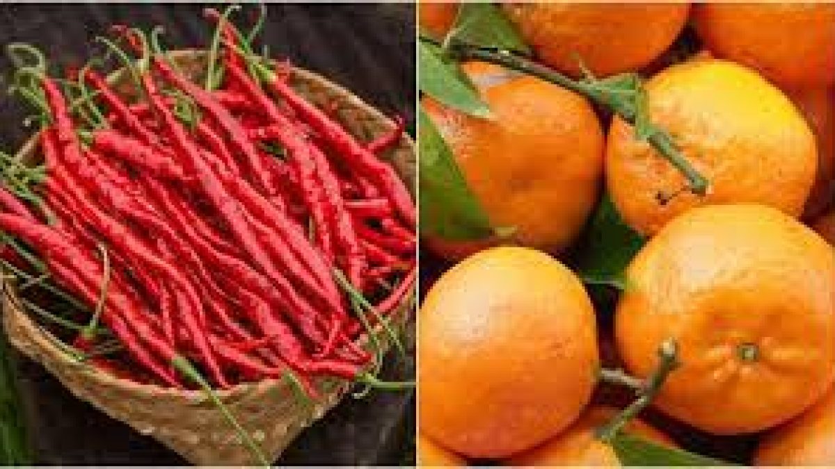 Sirarakhong Chilli and Tamenglong Orange (Manipur) gets GI tag