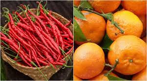 Sirarakhong Chilli and Tamenglong Orange (Manipur) gets GI tag