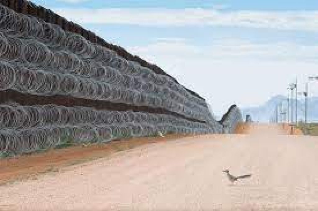 Alejandro Prieto wins Bird Photographer of the Year 2021