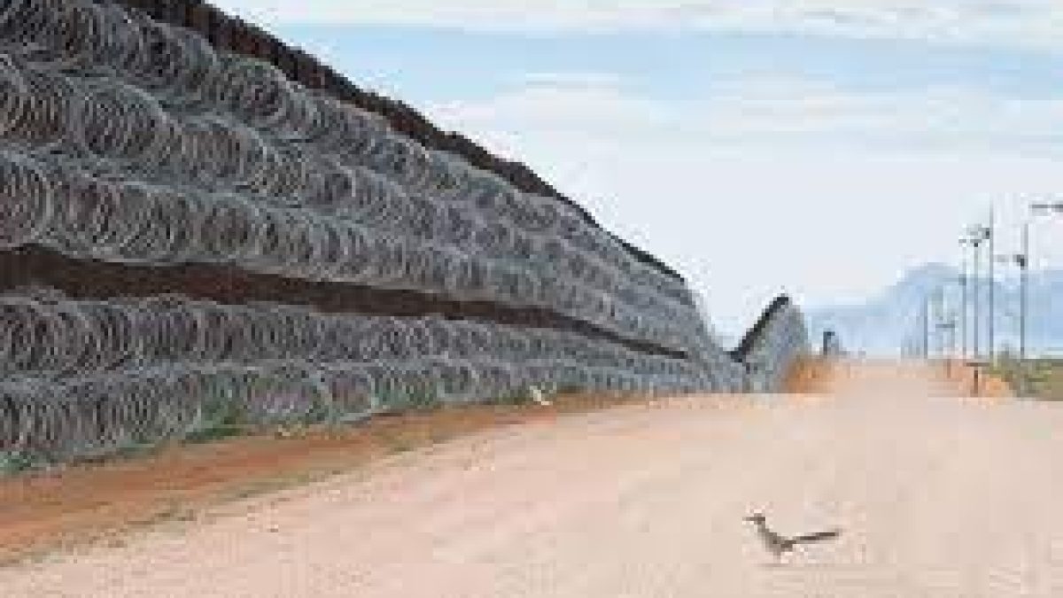 Alejandro Prieto wins Bird Photographer of the Year 2021