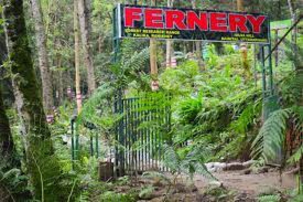 India’s largest open-air fernery inaugurated in Uttarakhand