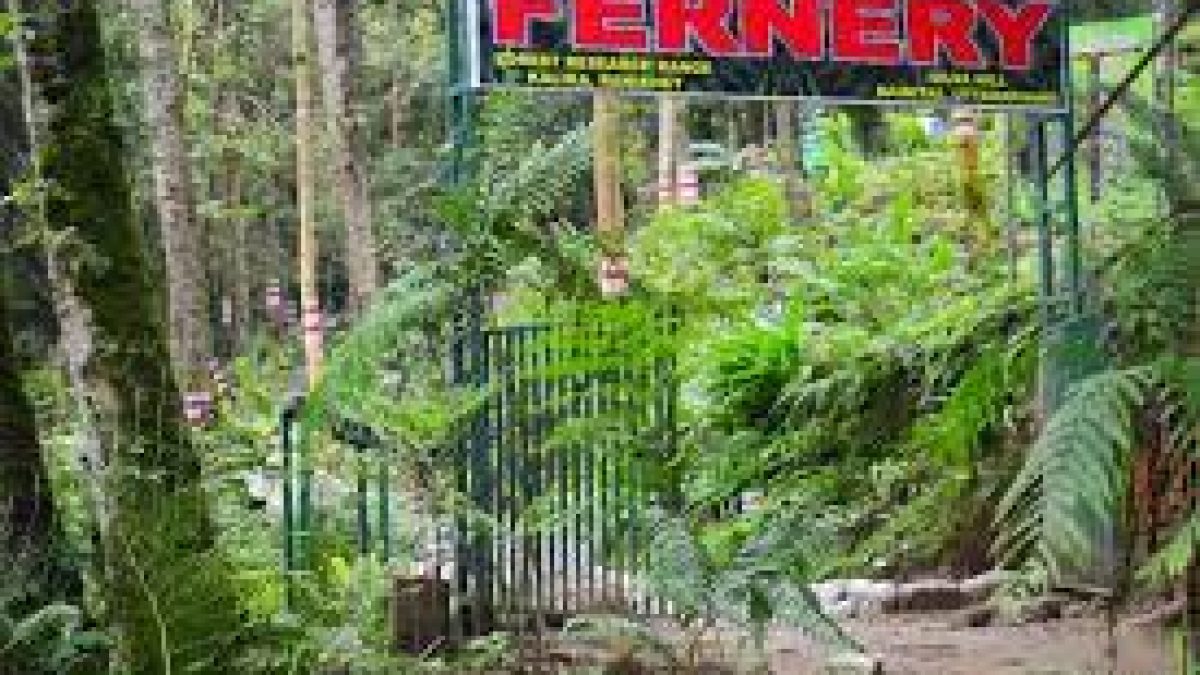 India’s largest open-air fernery inaugurated in Uttarakhand
