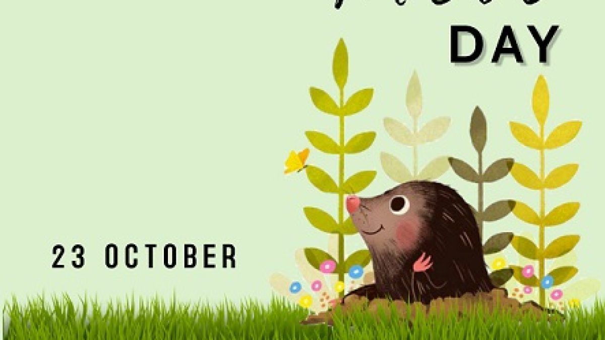 Mole Day observed on 23 October