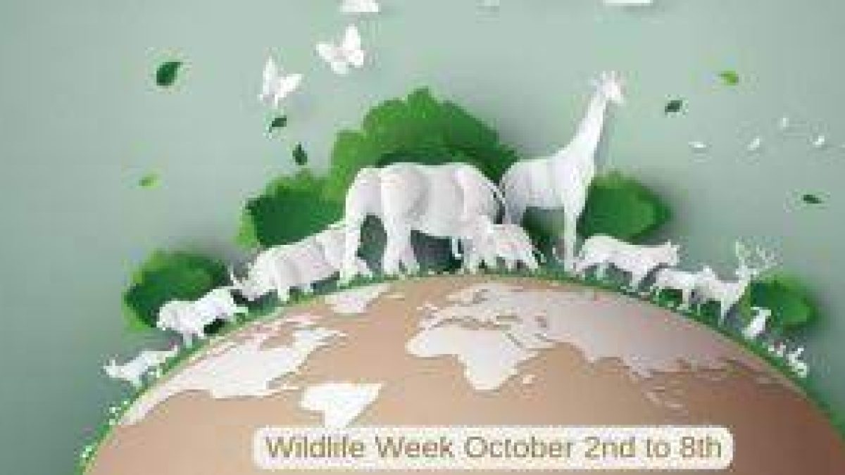 67th National Wildlife Week: 02 to 08 October 2021
