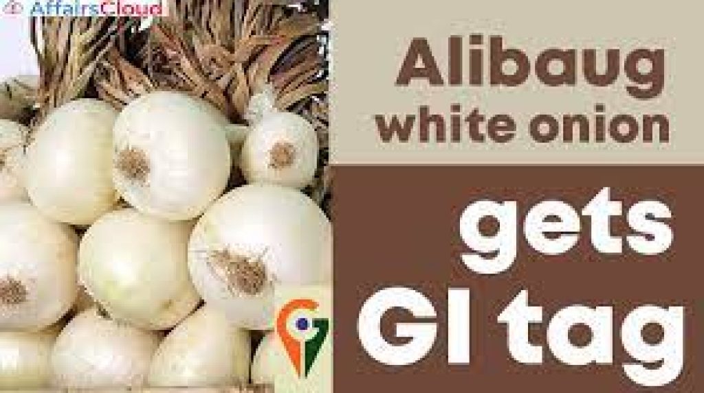 Alibaug white onion from Maharashtra gets GI tag
