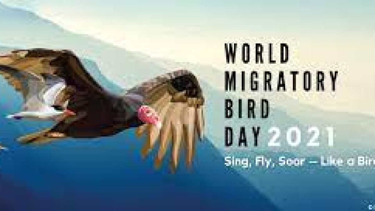 World Migratory Bird Day 2021: 09 October (Second Saturday of October)
