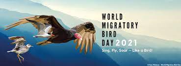 World Migratory Bird Day 2021: 09 October (Second Saturday of October)