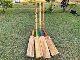 Tripura develops country’s ‘first-ever’ bamboo made cricket bat, stumps