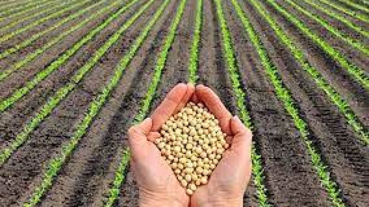 FICCI to hold virtual agriculture summit on Nov 17-18