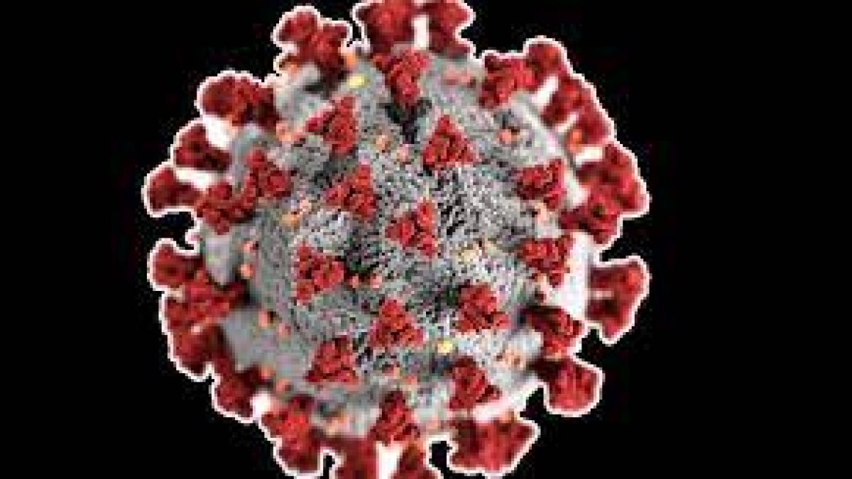 WHO classifies new COVID-19 variant B.1.1.529 as Omicron