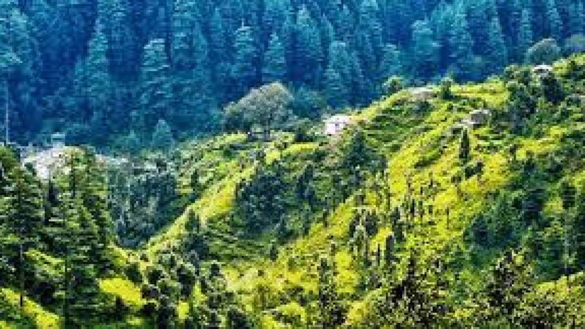 India’s first ‘Grass Conservatory’ inaugurated in Uttarakhand’s Ranikhet