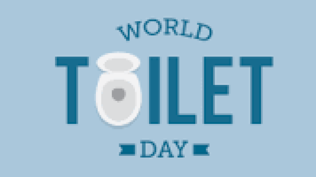 World Toilet Day: 19 November