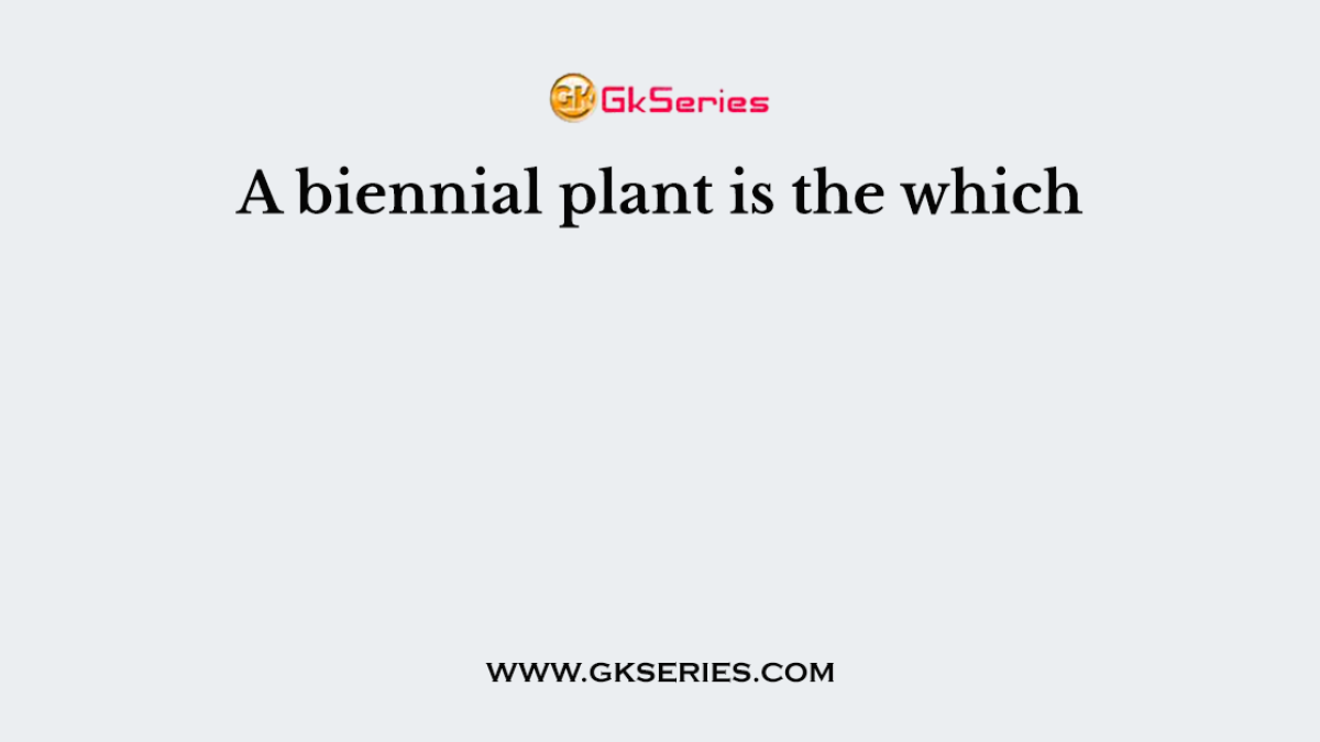 A biennial plant is the which