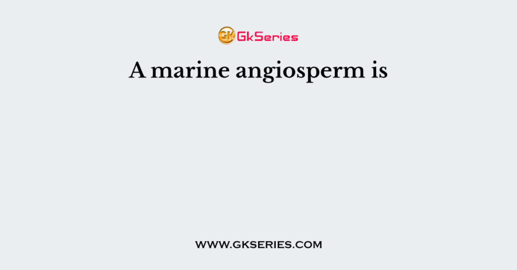 A marine angiosperm is