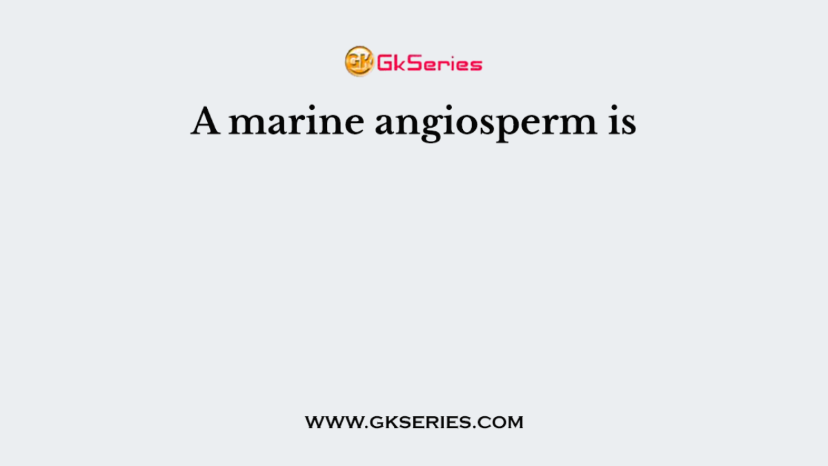 A marine angiosperm is