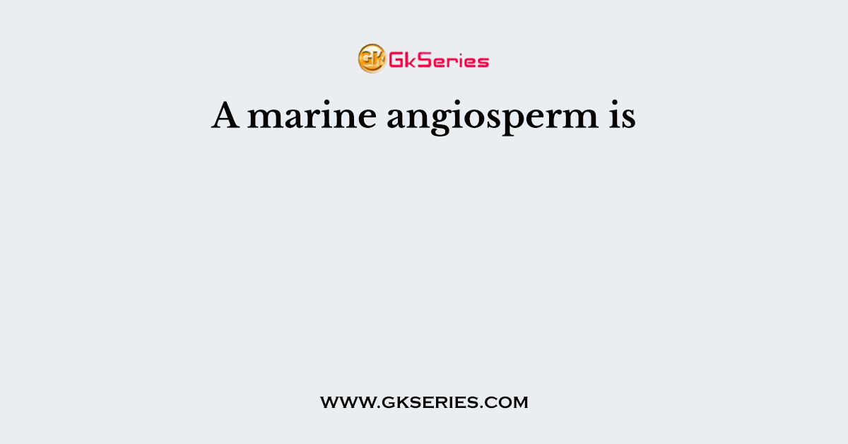 A marine angiosperm is