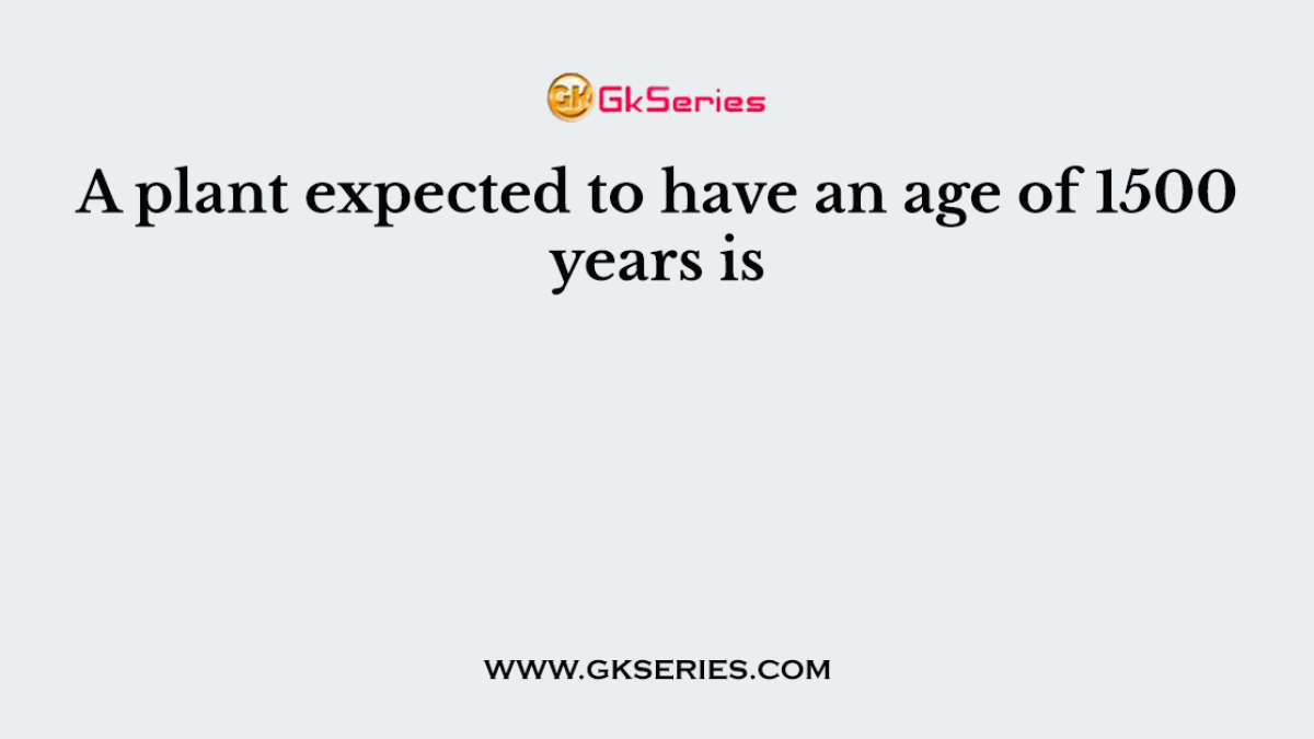 A plant expected to have an age of 1500 years is