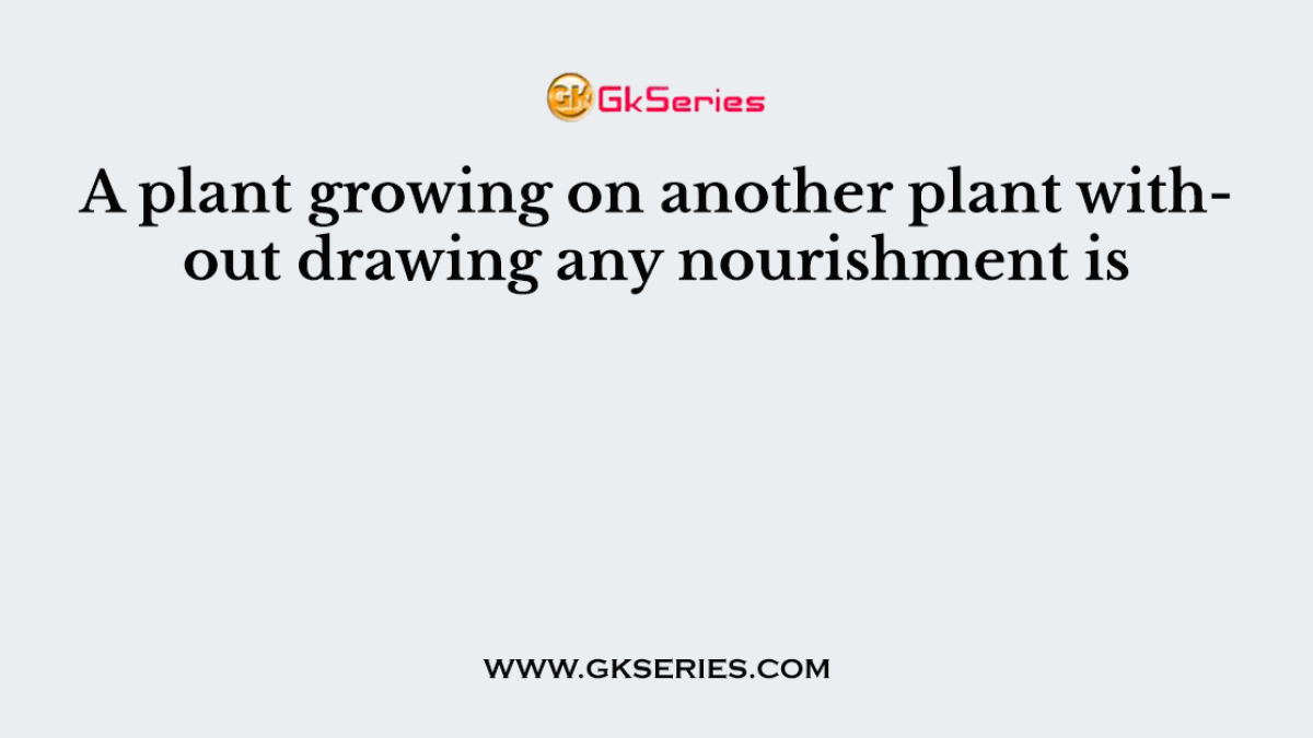A plant growing on another plant without drawing any nourishment is