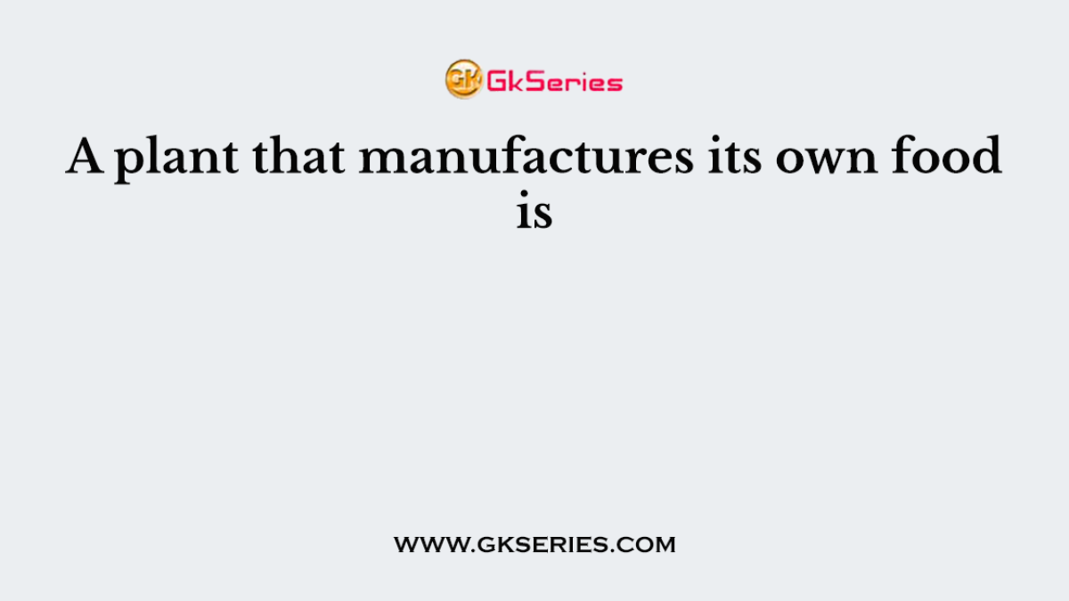 A plant that manufactures its own food is