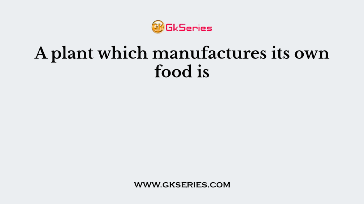 A plant which manufactures its own food is