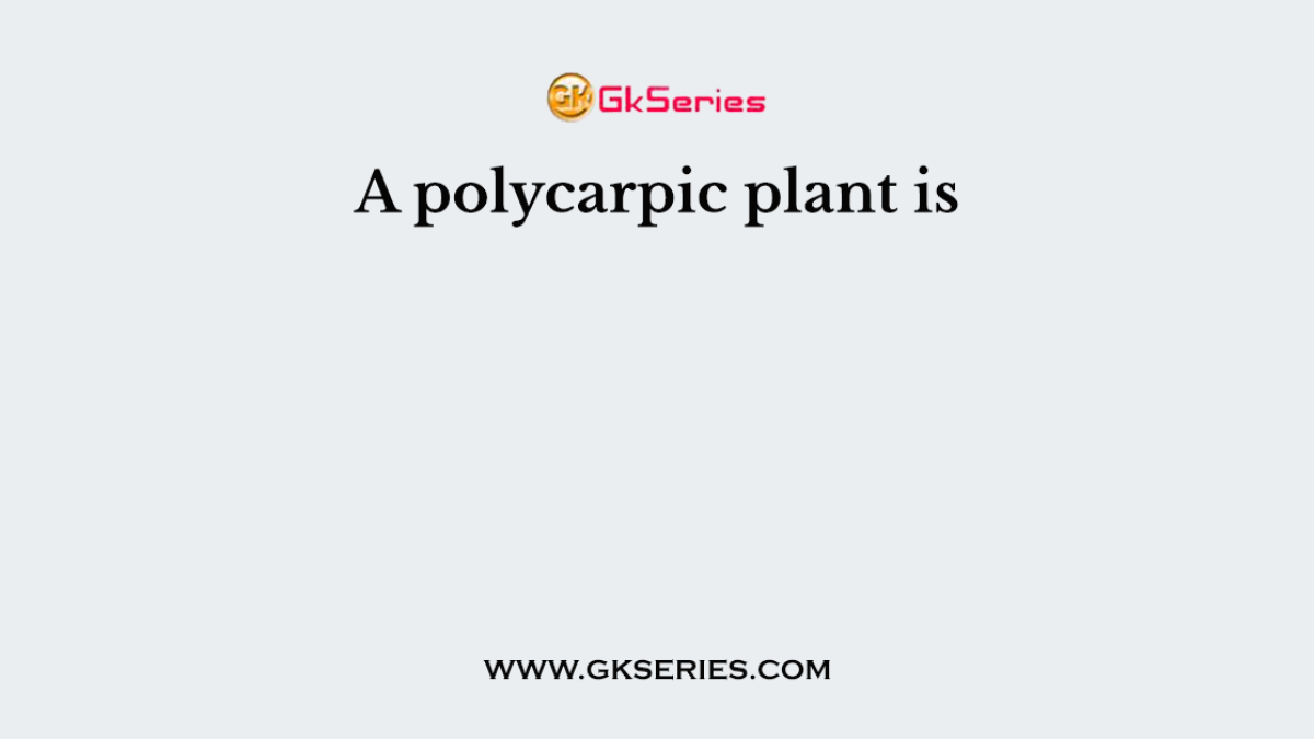 A polycarpic plant is