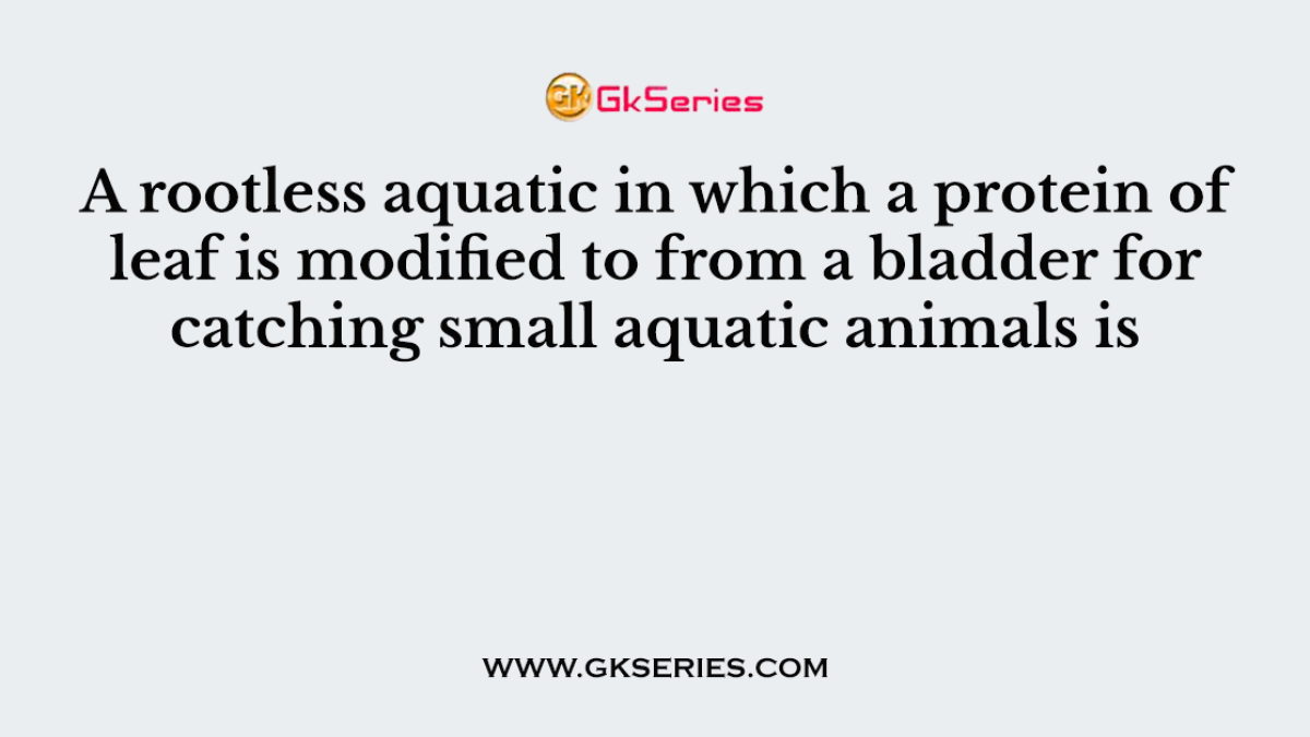 A rootless aquatic in which a protein of leaf is modified to from a bladder for catching small aquatic animals is
