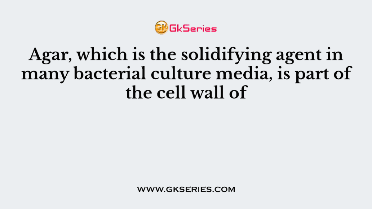 Agar, which is the solidifying agent in many bacterial culture media, is part of the cell wall of