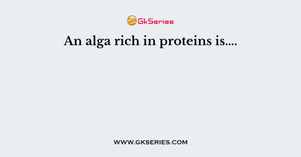 An alga rich in proteins is….