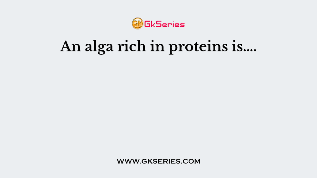 An alga rich in proteins is….