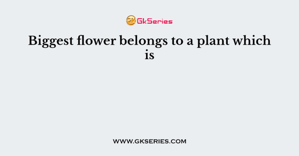 Biggest flower belongs to a plant which is