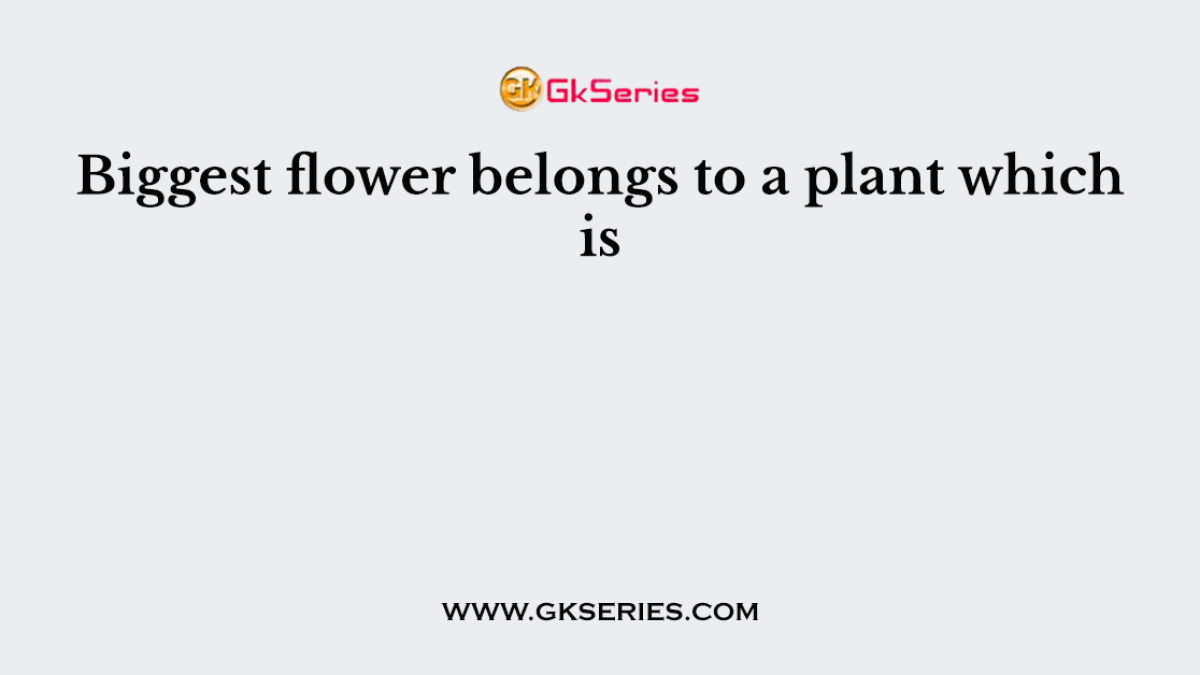 Biggest flower belongs to a plant which is
