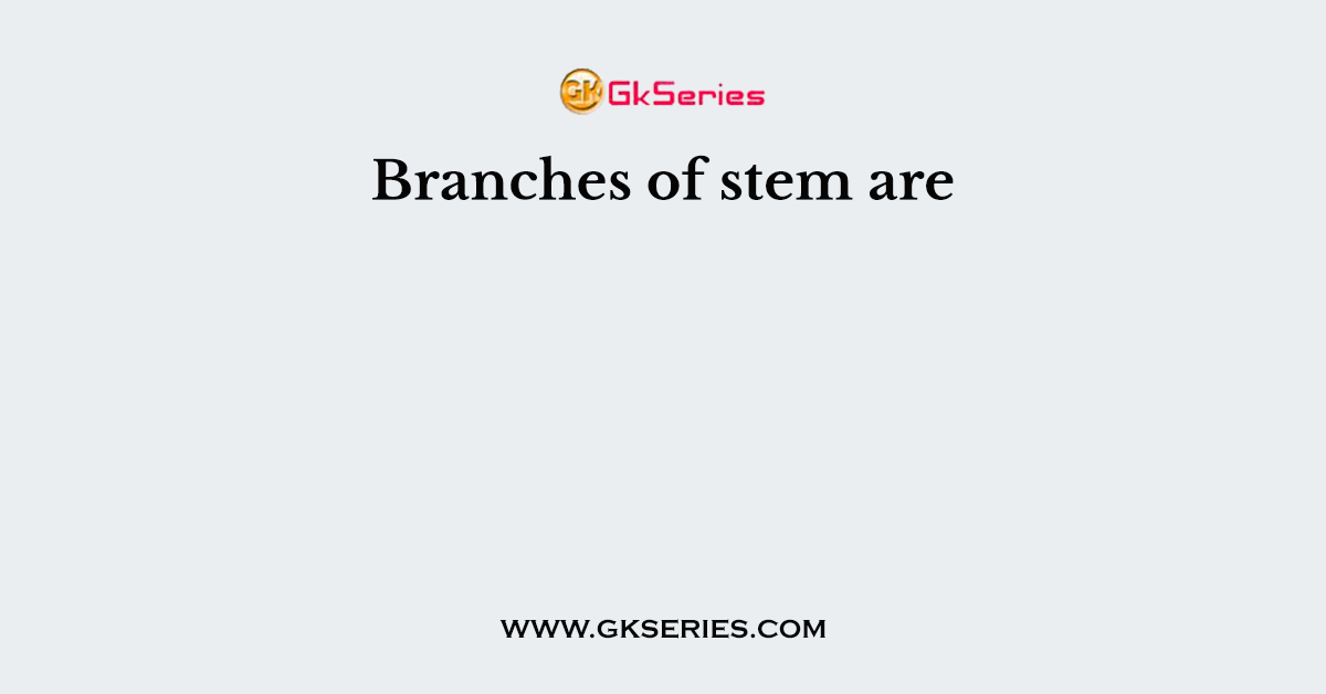 Branches of stem are