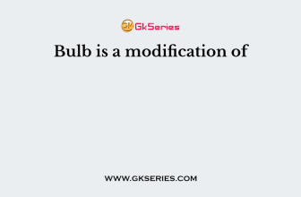 Bulb is a modification of