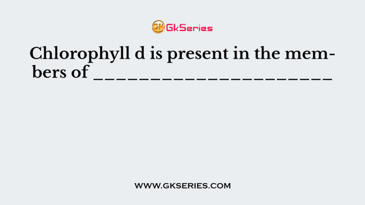 Chlorophyll d is present in the members of _____________________