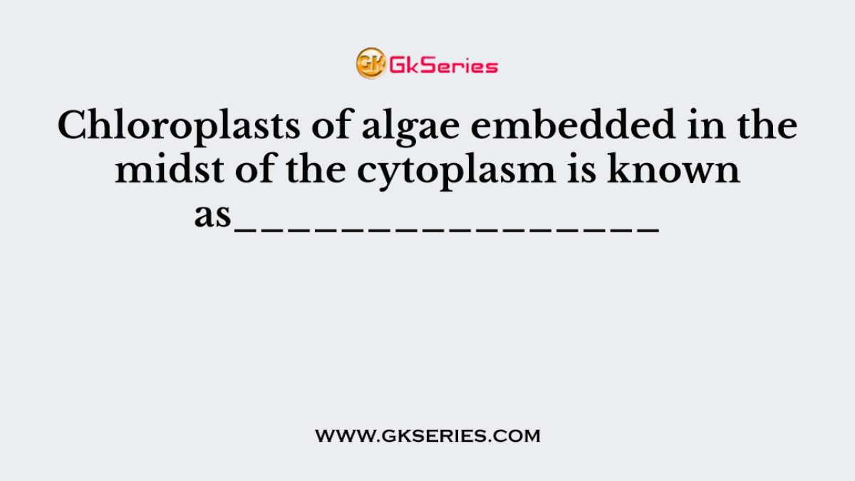 Chloroplasts of algae embedded in the midst of the cytoplasm is known as________________