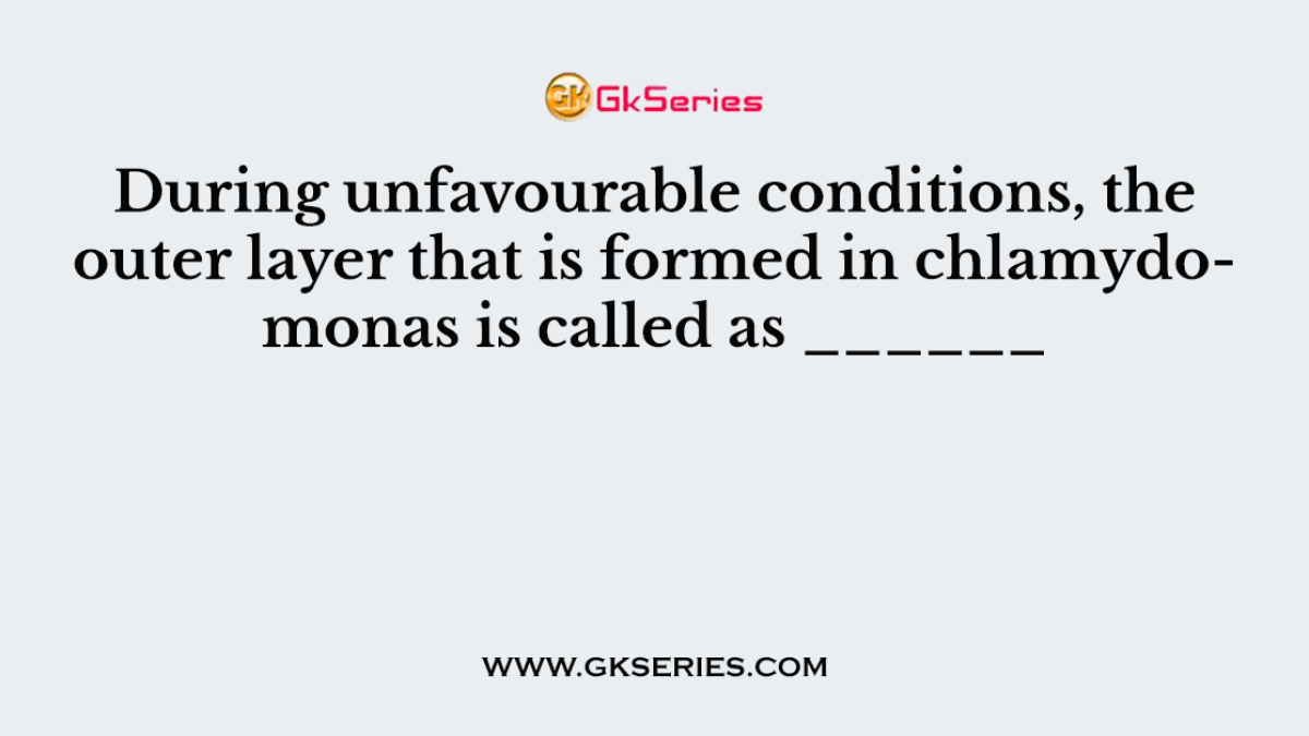 During unfavourable conditions, the outer layer that is formed in chlamydomonas is called as ______