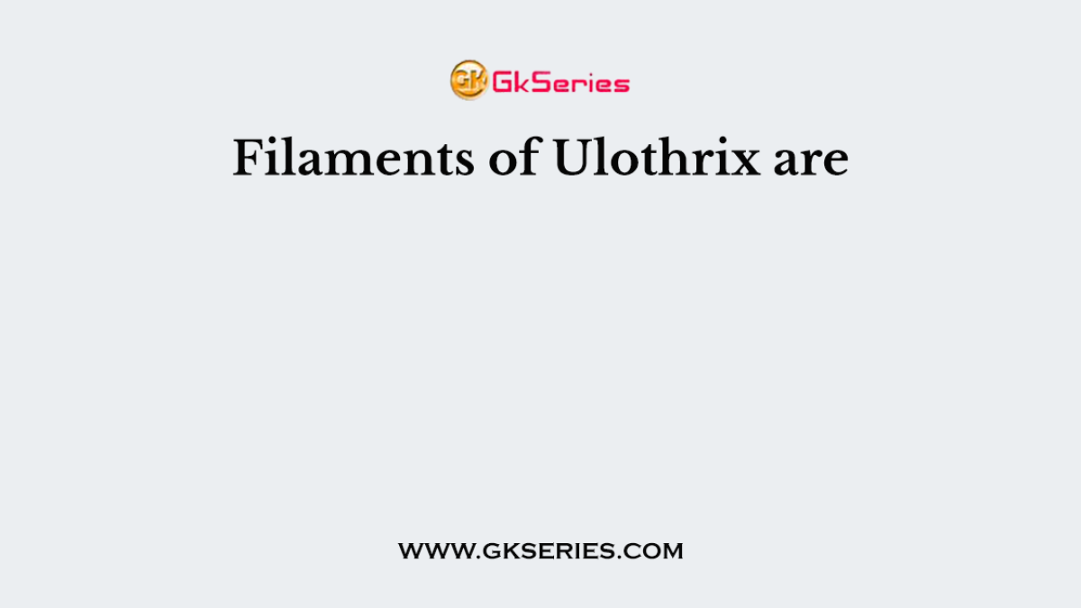 Filaments of Ulothrix are