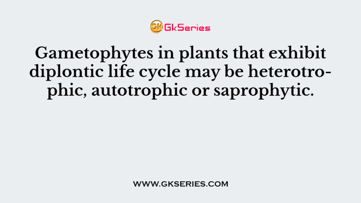 Gametophytes in plants that exhibit diplontic life cycle may be heterotrophic, autotrophic or saprophytic.
