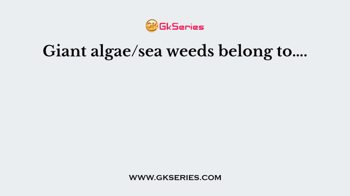 Giant algae/sea weeds belong to….