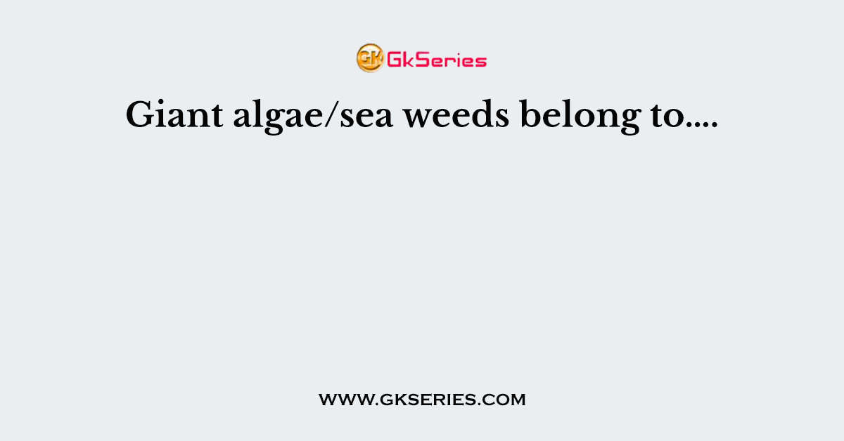 Giant algae/sea weeds belong to….